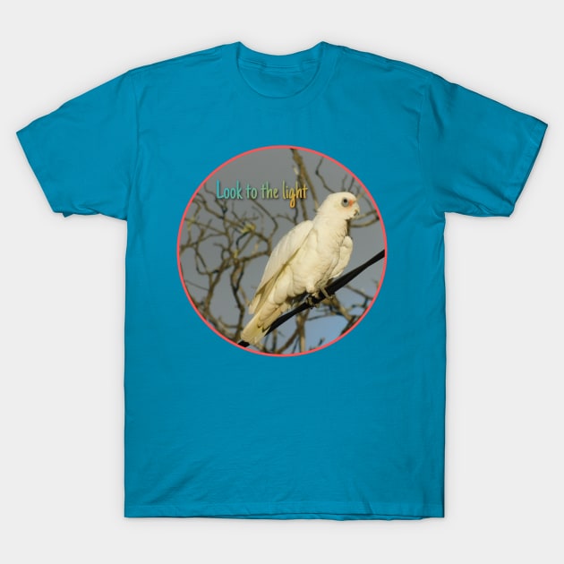 Look to the light T-Shirt by Jane Izzy Designs